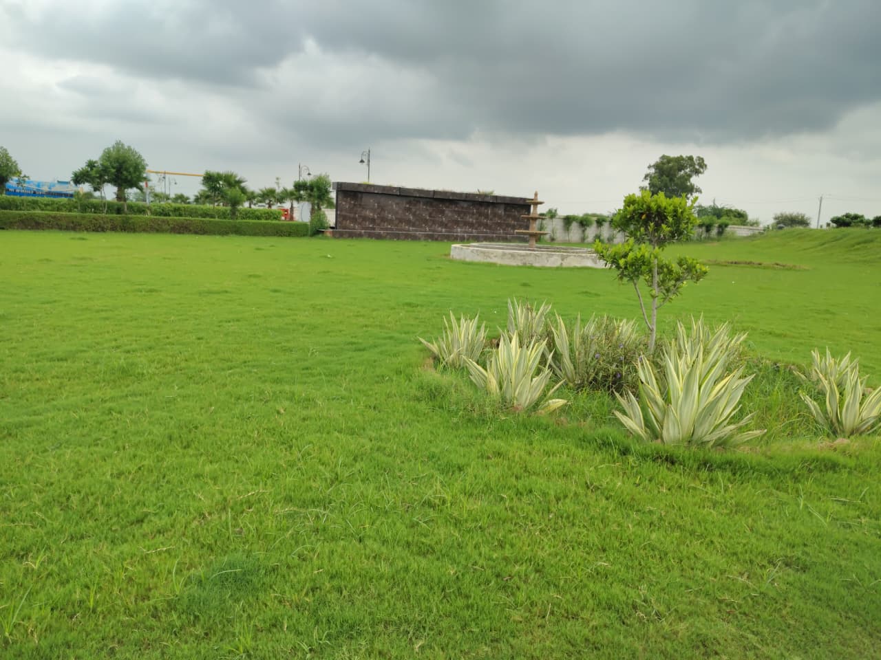 WhatsApp Image 2026-02-07 at 13.01.43 (1)